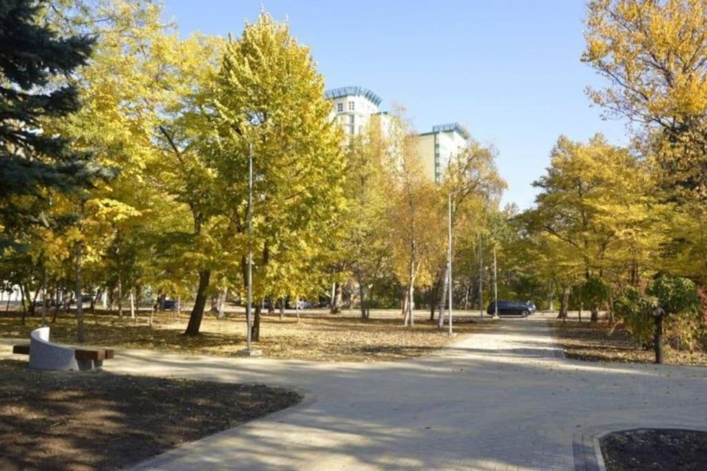 Rich Bunny Apartment Chisinau Bagian luar foto